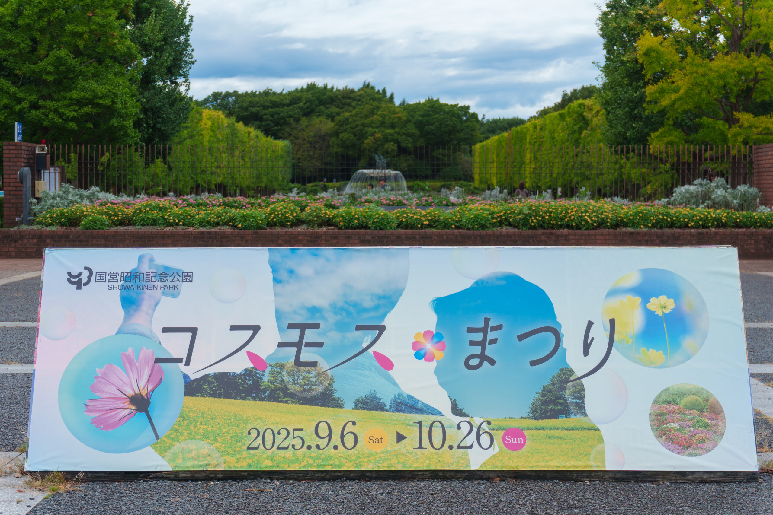 国営昭和記念公園】コスモスまつり開催中！最寄り駅・入場口とモデル