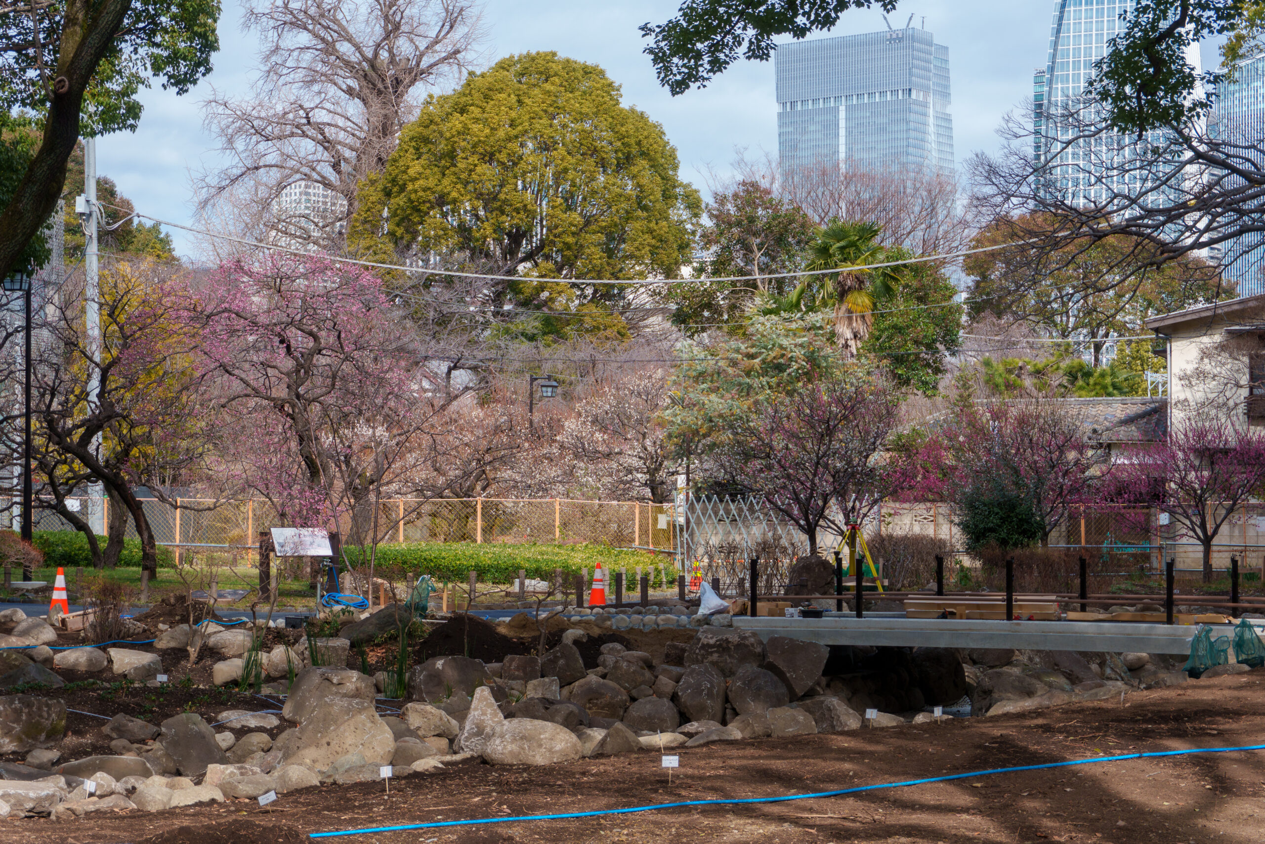 仮囲い越しに見る梅園