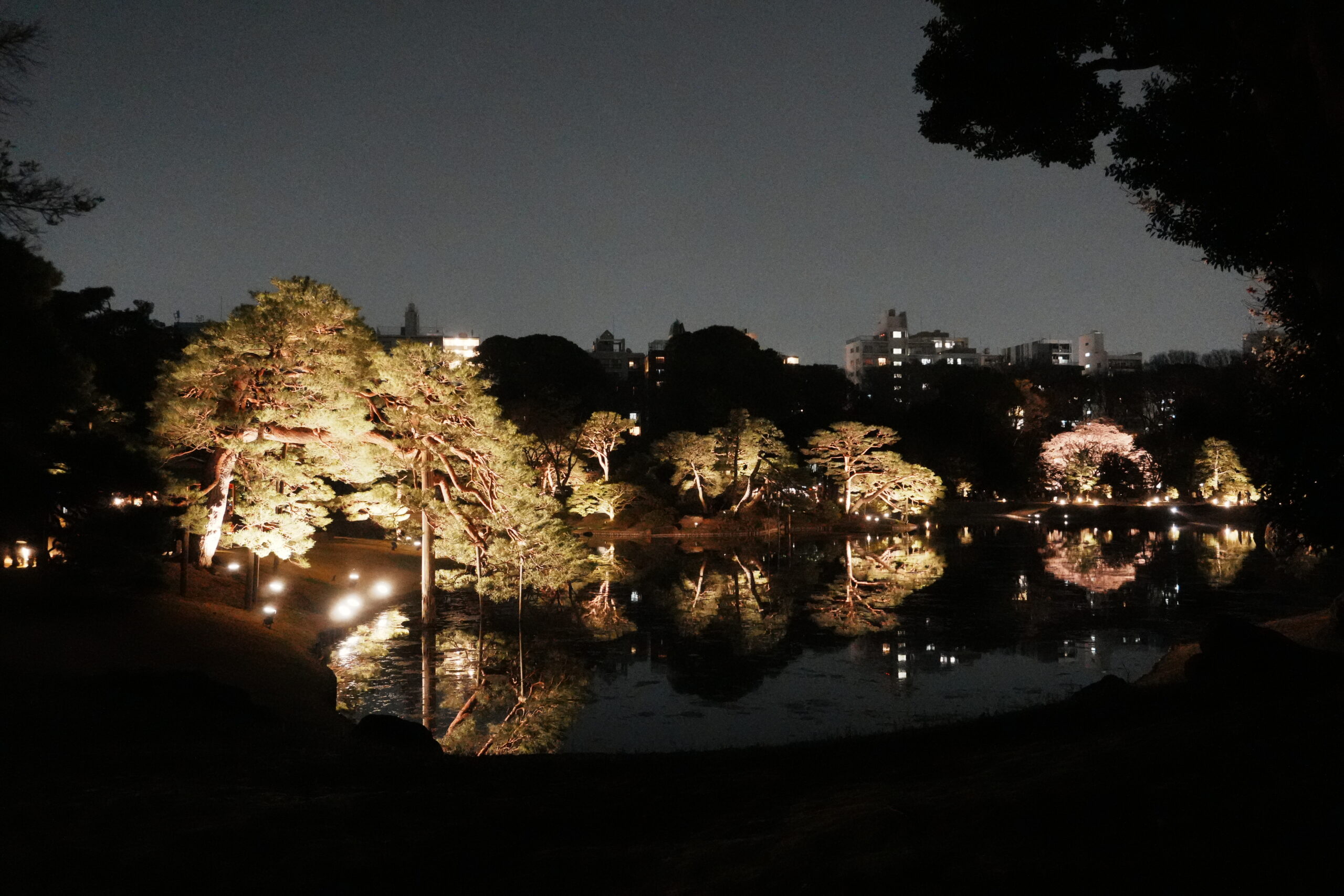 ライトアップされた園内