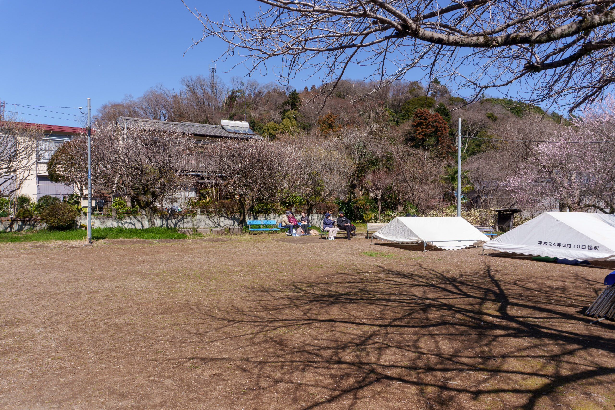 関所梅林の広場