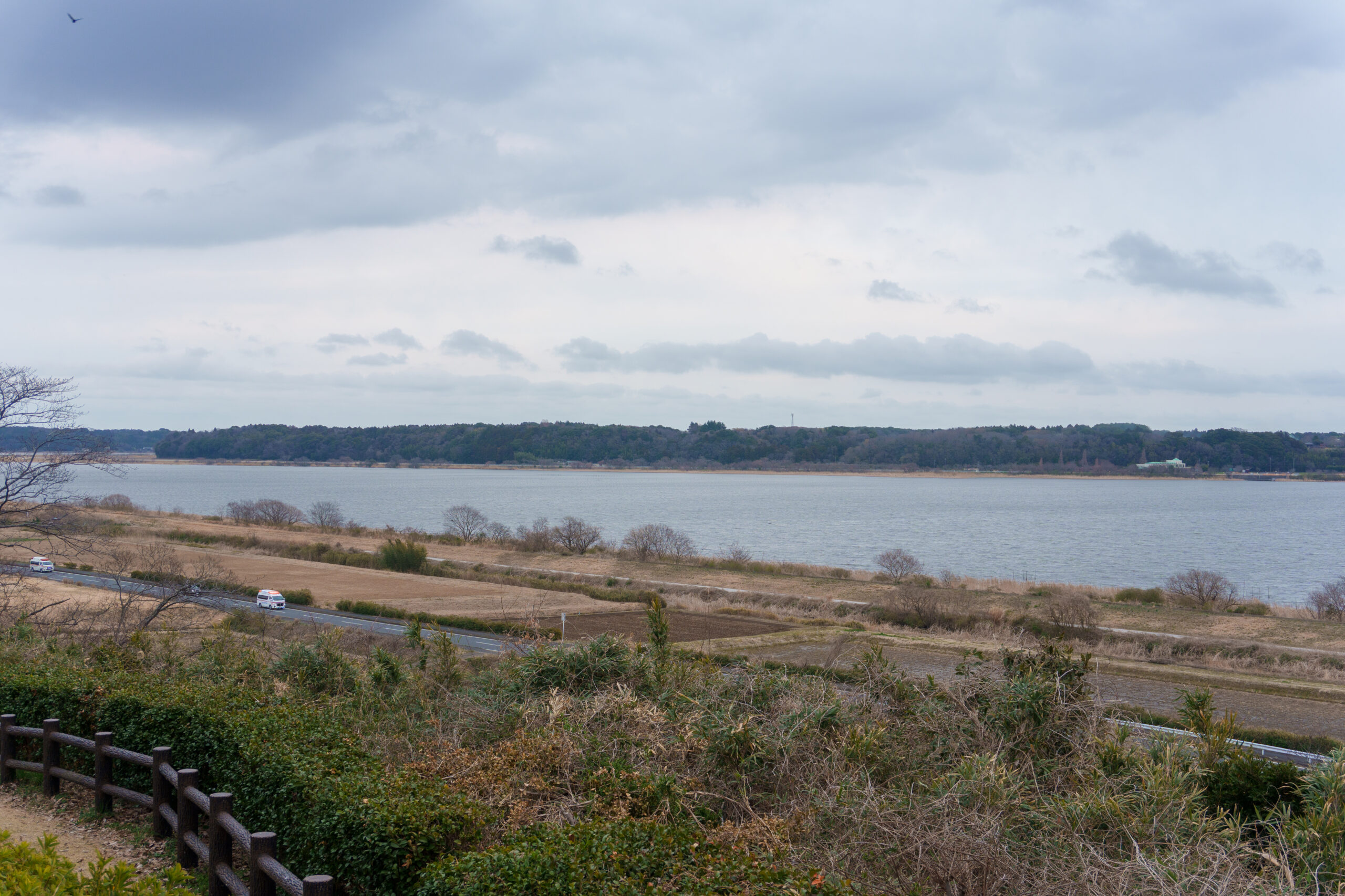 展望台から眺める印旛沼